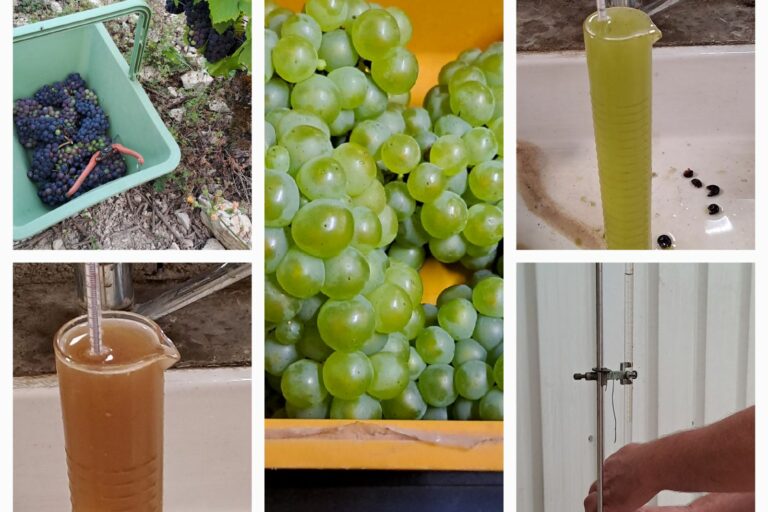 C'est le début des prélèvements 2023.