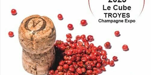 httpmediastourismsystemcom2878584310au13novsalondelagastronomiejpg